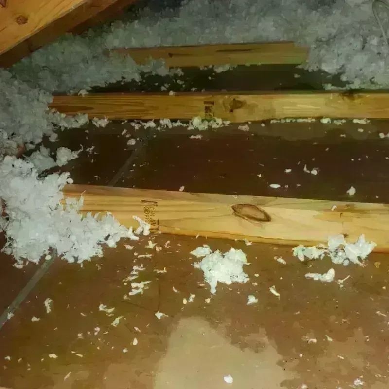 Attic Water Damage in West Babylon, NY